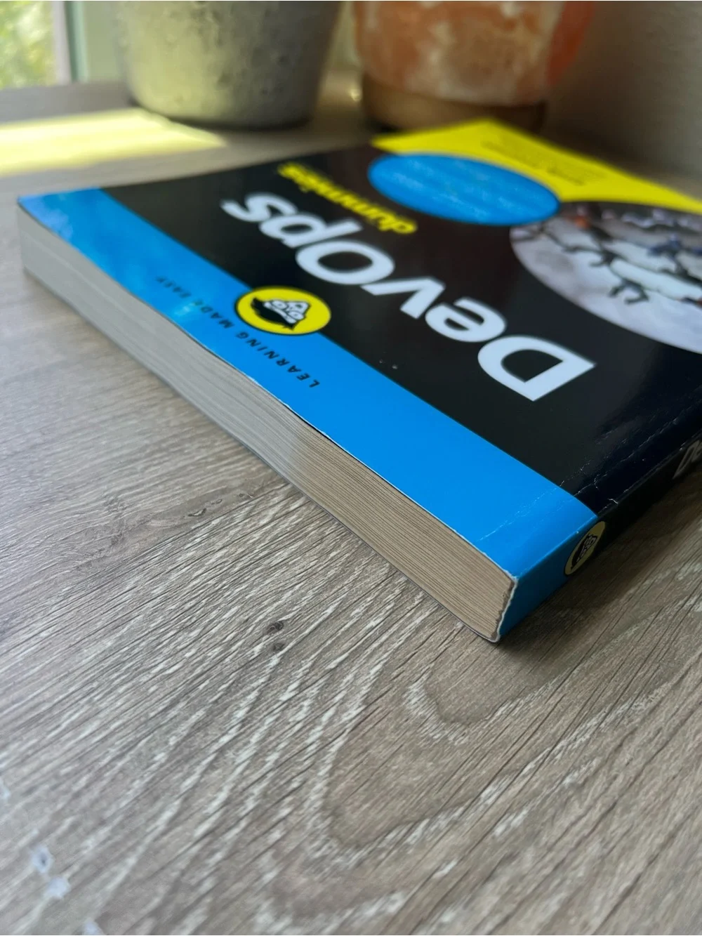 DevOps For Dummies Emily Freeman Paperback 2019 Tech IT Programming Book
